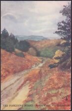 The Yorkshire Moors, Hutton Woods nr Guisborough Artistic Print Tuck's Postcard