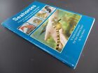 Seahorses -How To Care For Your Seahorses In The Marine Aquarium