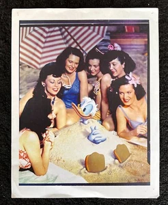 Walt Disney's LOS TRES CABALLEROS Pato Donald y Snoritas en la Playa  - Imagen 1 de 10