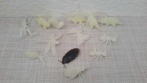 Set 13 verschiedene Kreaturen Figuren pädagogisches Lernspielzeug Set gebraucht - Bild 1 von 5