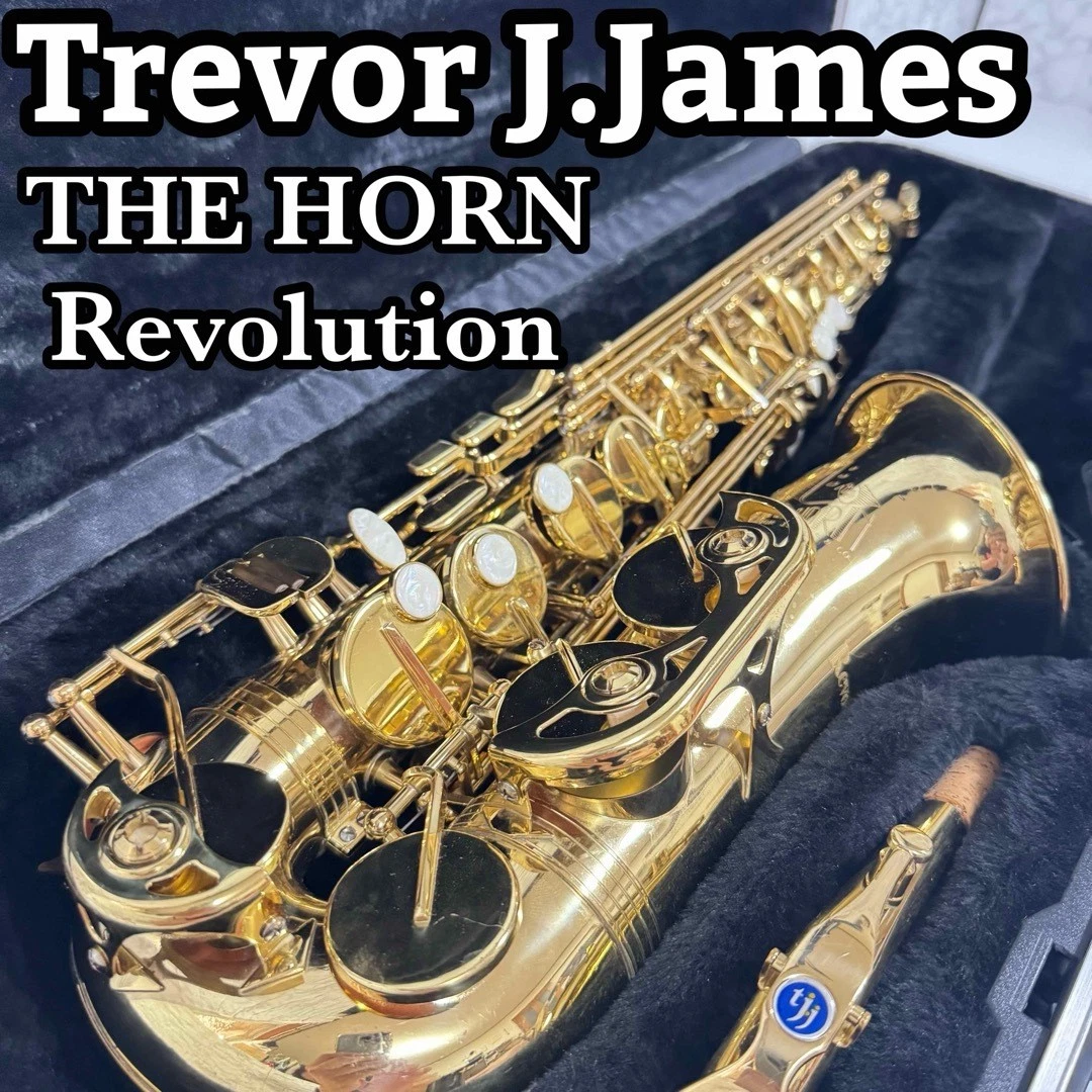 美品 トレバージェイムス アルトサックス THE HORN Revolution Trevor James The Horn Alto Saxophone – SAX