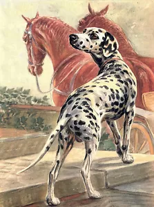 DALMATINER CHARMANTE HUND GRUSS NOTIZKARTE SCHÖNER HUND UND PFERDE - Bild 1 von 1