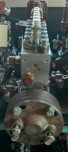 Pompa Bosch 0402648913 con pompanti maggiorati a 13,5 - Iveco Eurostar - Foto 1 di 1