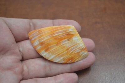 ORANGE SPINY SPONDYLUS OYSTER SEA SHELL PIECE CRAFT 2 1/2" #T-2090C - Image 1 of 4