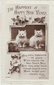 POSTAL FOTO REAL ROTATIVA DE ANIMALES GATITOS FELICES AÑO NUEVO - Imagen 1 de 1