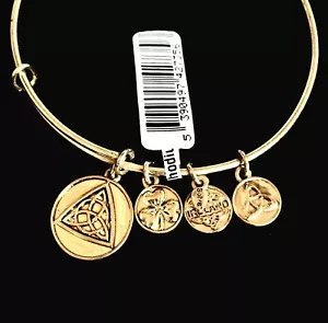 Bracciale Celtico Irlandese Charm Adj Nodo Celtico Nodo Trinità Irlanda Trifoglio - Foto 1 di 3