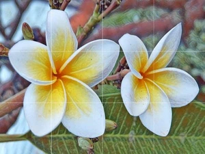 Panel de cerámica de mosaico de flores Frangipani salpicadero azulejos mural arte de pared - Imagen 1 de 4