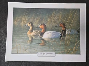 2 Duck Prints Afternoon Pintails R. Clifton + First Light Canvasbacks J. Hautman - Picture 1 of 2