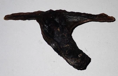 W 133 x H 80 mm BLACK Malleus Albus Hammer Oyster Seashell #AK2 Similan Island - Image 1 of 3