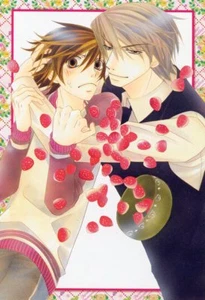 postcard promo Junjou Junjo Romantica anime Takahashi Misaki Usami Akihiko - Picture 1 of 1