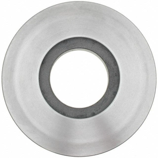 Rotor de freno de disco Foto 1 de 1