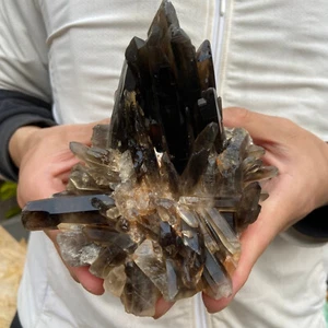 2LB Large Natural Smoky Black Quartz Crystal Cluster Raw Mineral Specimen - Picture 1 of 14