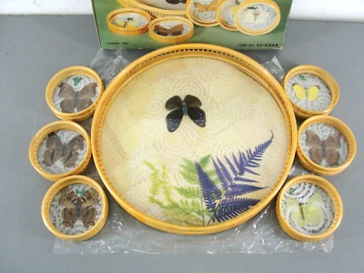 HIMARK SERVING TRAY COASTER SET GLASS TOP REAL BUTTERFLY DRIED FLOWER NEW VTG - Image 1 of 4
