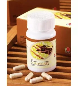 DXN Cordyceps 90 capsules Cordyceps Sinensis stimuler l'immunité endurance - Bild 1 von 4