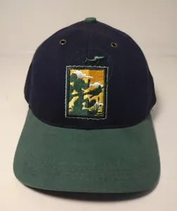 Vintage Walt Disney World Disneys DIXIE LANDINGS RESORT Snapback Mütze USA Neu mit Etikett - Bild 1 von 9
