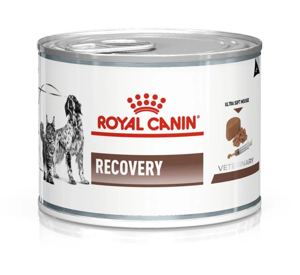 9003579307717 ROYAL CANIN Recovery Nassfutter für Hunde und Katzen Mousse Geflüg - Bild 1 von 1