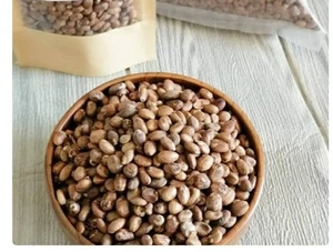 20g natürliche Aworoso Samen Croton Pendoliflurous Samen Abnehmen Diät Jamalghota - Bild 1 von 2