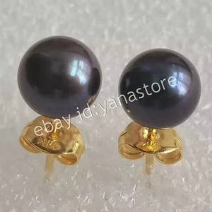 Perfekt Echter Natürlich Rund Schwarz Südsee Perle Ohrstecker 14K Gelbgold - Bild 1 von 12