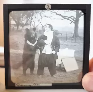 Magic Lantern Slides - 'Performing Dogs & Bears' Extremely Rare Late 1800s - Picture 1 of 15