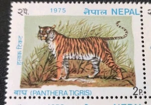 尼泊尔猛老虎邮票 Nepal 1975 Panthera Tiger Stamp Mint 1v Single Stamp, Back Light Toned - Picture 1 of 4