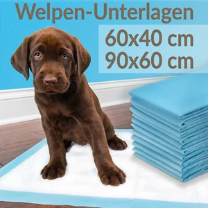 Welpenunterlage Tierpflege Hunde Unterlage Einmalunterlage Welpen WC Puppy Pads - Bild 1 von 5
