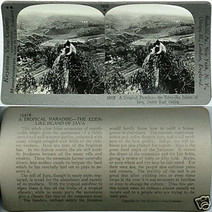 Keystone Stereoview Island of Java, Dutch East Indies of 600/1200 Card Set #1016 - Picture 1 of 2