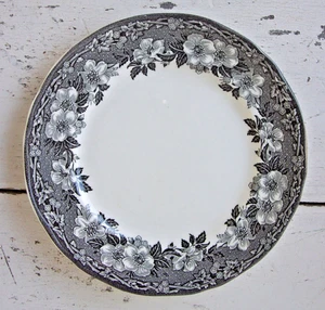 Vintage Enoch Wedgwood Malverne 6-7/8" Desert Pie Plate~4 Available - Picture 1 of 4