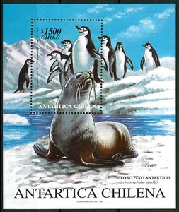CHILE - CHILE - BF - 1999 - Chilenisches Antarktisgebiet: Fauna. - Bild 1 von 1