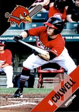 2018 Fargo-Moorhead RedHawks Team Issue #7 Tim Colwell Shoreview Minnesota Card