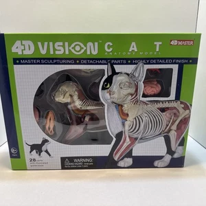 Animal Anatomy Model 4D VISION Cat Brown White Qingdao Cultural Materials TM - Picture 1 of 8