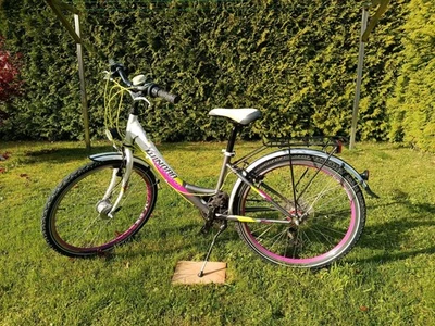Cooles 24 Zoll Trekking-Fahrrad 21 Gang Beleuchtung Tiefeinstieg - Bild 1 von 4