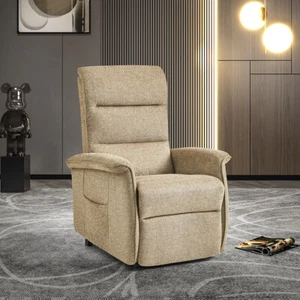 Electric Power Lift Recliner Ergonomic Chair Armchair Remote Control Taupe - Picture 1 of 8