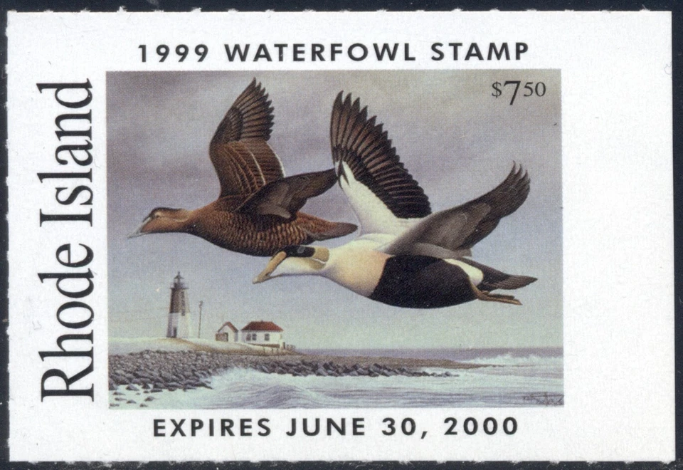 Rhode Island Duck Stamp 1999 $7.50 Pair of Eiders Scott RI#11 MNH XF+ - Image 1 of 1