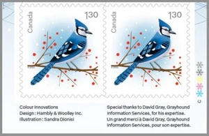 BLUE JAY = CHRISTMAS BIRDS = USA rate LOWER INSCRIPTION Pair from BK.Canada 2022 - Imagen 1 de 2