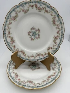 2 Vintage  ANTIQUE LIMOGES FRANCE Porcelain Plates  For Arthur Kaye - Picture 1 of 7