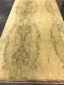 Myrtle Laurel Burl wood veneer sheet 48" x 96" on paper backer 1/40" thick AA - Picture 1 of 2