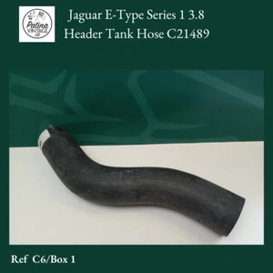 Manguera de tanque de cabeza Jaguar E-Type Series 1 3.8 C21489 - Imagen 1 de 1