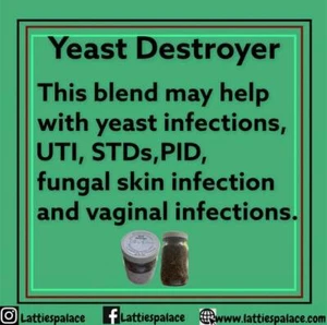 Yeast Destroyer Tea (loose herbs) - Picture 1 of 12