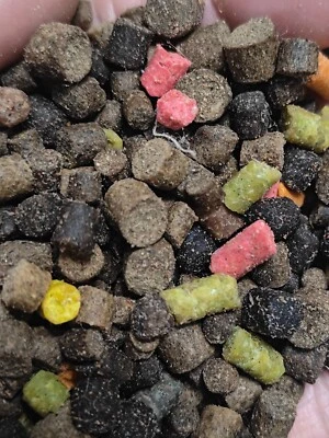 mini pva mesh carp bait pellet balls hook on bait balls easi to use and katch - Image 1 of 4