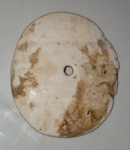 Bedeutendes 1000 v. Chr. Indus Zivilisation Muschel Amulett aus Pakistan - Bild 1 von 12