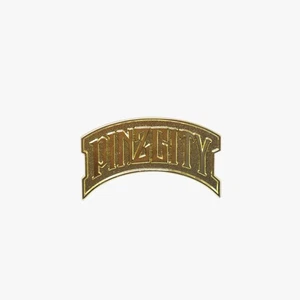 Gold PINZCITY Script Pin - Picture 1 of 2