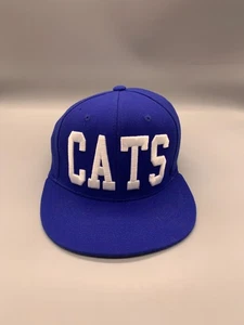 Kentucky Wildcats Hat Cap Fitted OSFA Blue White TOW Cats NCAA Basketball Mens - Picture 1 of 12
