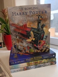 Harry Potter cofanetto Jim Kay serie Illustrata JK Rowling Salani editore - Foto 1 di 18
