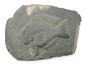 Hand Carved SOUTH AMERICAN STONE FISH SCULPTURE Belize - Signed CJJM - Picture 1 of 5