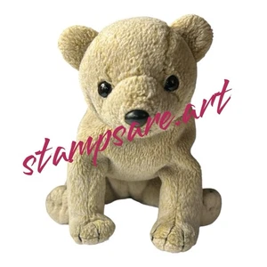 Ty Beanie Baby 1999 Almond the Bear 6” pequeño peluche tostado - Imagen 1 de 4