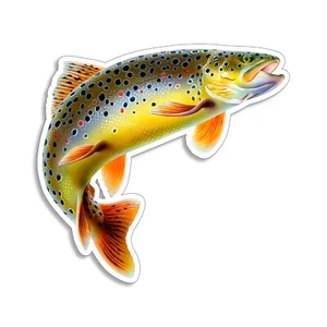 Brown Trout Fish Sticker Cooler Laptop Cup Boat Car Vehicle Window Bumper Decal - Picture 1 of 1