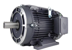 Techtop Electric Aluminum Motor 10 HP 1800 Rpm 3PH 230/460 Volt 215TC Frame - Picture 1 of 10