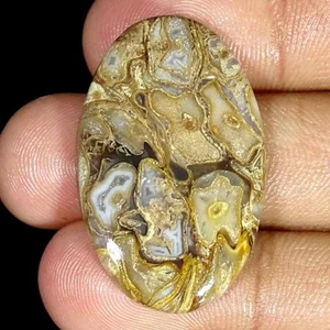 Piedra preciosa suelta cabujón ovalado ágata calci roca natural 31,90 quilates - Imagen 1 de 5