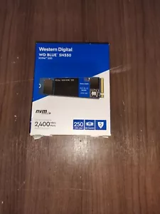 WESTERN DIGITAL WD BLUE 250GB SN550 M.2 NVMe SSD (WDS100T2B0C) - Picture 1 of 4
