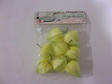 FIORI PER DECORAZIONI STAMPERIA ALCHECHENGI